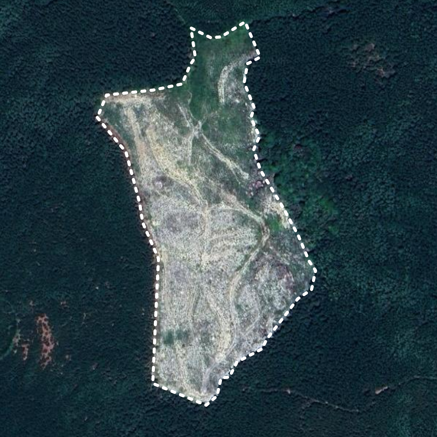 Example of the Polygon Geometry - Vietnam